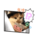 にゃんneko wonderful（個別スタンプ：9）