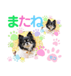 モコちゃんのかわいい日常スタンプ（個別スタンプ：5）