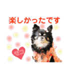 モコちゃんのかわいい日常スタンプ（個別スタンプ：26）