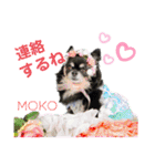 モコちゃんのかわいい日常スタンプ（個別スタンプ：33）