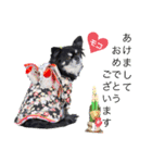 モコちゃんのかわいい日常スタンプ（個別スタンプ：37）