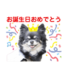 モコちゃんのかわいい日常スタンプ（個別スタンプ：40）