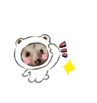 ハリネズミのタワシ[日常的スタンプ2]（個別スタンプ：24）