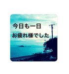 リアルわんこさんとネコさんと一緒に。（個別スタンプ：4）