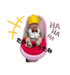 Noaスタンプ03（個別スタンプ：3）