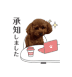トイプー結愛の日常（個別スタンプ：8）