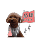 トイプー結愛の日常（個別スタンプ：9）