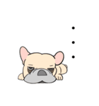 フレンチブルドッグのウィズさん。（個別スタンプ：15）