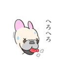 フレンチブルドッグのウィズさん。（個別スタンプ：21）