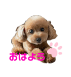 ぷうぷうぷう 2（個別スタンプ：1）