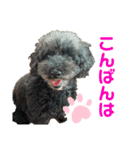 ぷうぷうぷう 2（個別スタンプ：3）