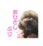 ぷうぷうぷう 2（個別スタンプ：4）