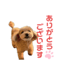 ぷうぷうぷう 2（個別スタンプ：8）