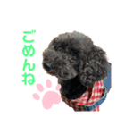 ぷうぷうぷう 2（個別スタンプ：13）