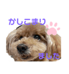 ぷうぷうぷう 2（個別スタンプ：14）
