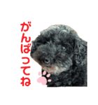 ぷうぷうぷう 2（個別スタンプ：18）