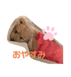 ぷうぷうぷう 2（個別スタンプ：20）
