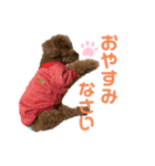 ぷうぷうぷう 2（個別スタンプ：21）