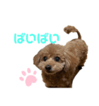 ぷうぷうぷう 2（個別スタンプ：23）