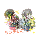 わたしの癒し♡多肉植物たち①（個別スタンプ：9）