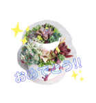 わたしの癒し♡多肉植物たち①（個別スタンプ：24）