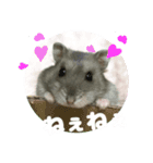 Nicoちゃんのスタンプです。（個別スタンプ：2）
