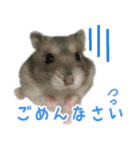 Nicoちゃんのスタンプです。（個別スタンプ：4）