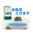 Nicoちゃんのスタンプです。（個別スタンプ：7）