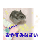 Nicoちゃんのスタンプです。（個別スタンプ：8）