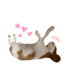 キャバリアのかんなちゃん♡（個別スタンプ：8）
