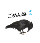 ペット記録チャンネル のんびりスタンプ（個別スタンプ：2）