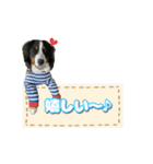 ハリヤマ♡︎ハリー（個別スタンプ：13）