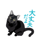 笑顔をくれる猫たちの一言（個別スタンプ：2）