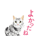 笑顔をくれる猫たちの一言（個別スタンプ：3）