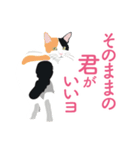 笑顔をくれる猫たちの一言（個別スタンプ：4）