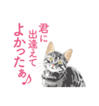 笑顔をくれる猫たちの一言（個別スタンプ：10）