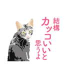 笑顔をくれる猫たちの一言（個別スタンプ：13）