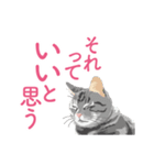 笑顔をくれる猫たちの一言（個別スタンプ：18）