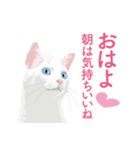 笑顔をくれる猫たちの一言（個別スタンプ：21）