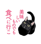 笑顔をくれる猫たちの一言（個別スタンプ：22）