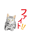 笑顔をくれる猫たちの一言（個別スタンプ：23）