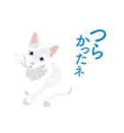 笑顔をくれる猫たちの一言（個別スタンプ：28）