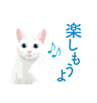 笑顔をくれる猫たちの一言（個別スタンプ：29）