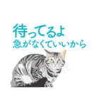 笑顔をくれる猫たちの一言（個別スタンプ：32）