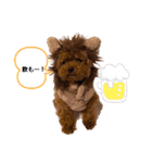 虎太郎のあいさつ！（個別スタンプ：1）