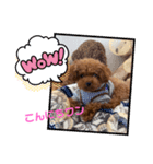 虎太郎のあいさつ！（個別スタンプ：3）
