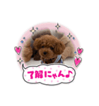 虎太郎のあいさつ！（個別スタンプ：4）