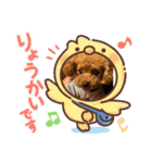 虎太郎のあいさつ！（個別スタンプ：5）