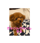 虎太郎のあいさつ！（個別スタンプ：6）