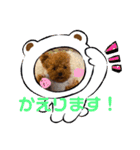 虎太郎のあいさつ！（個別スタンプ：8）